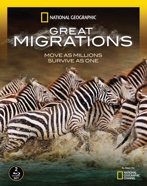 KH118 - Document - National Geographic 2010 - Great Migrations - Ep 1 Born To Move (4G)